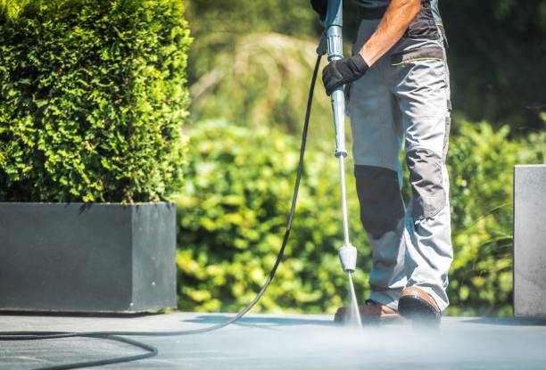 Best Boat and Dock Cleaning  in Darrington, WA