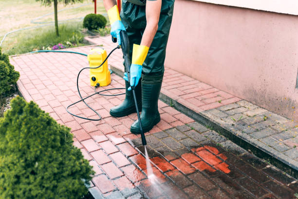 Best Animal Enclosure Cleaning  in Darrington, WA